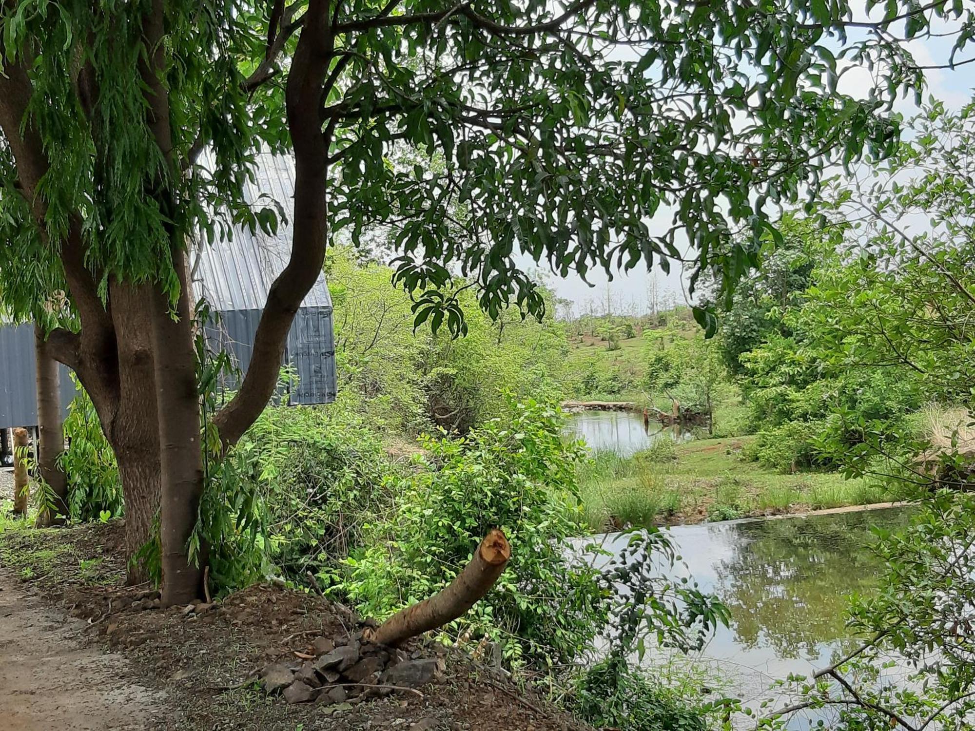 River Ranch Saralgaon Exterior foto